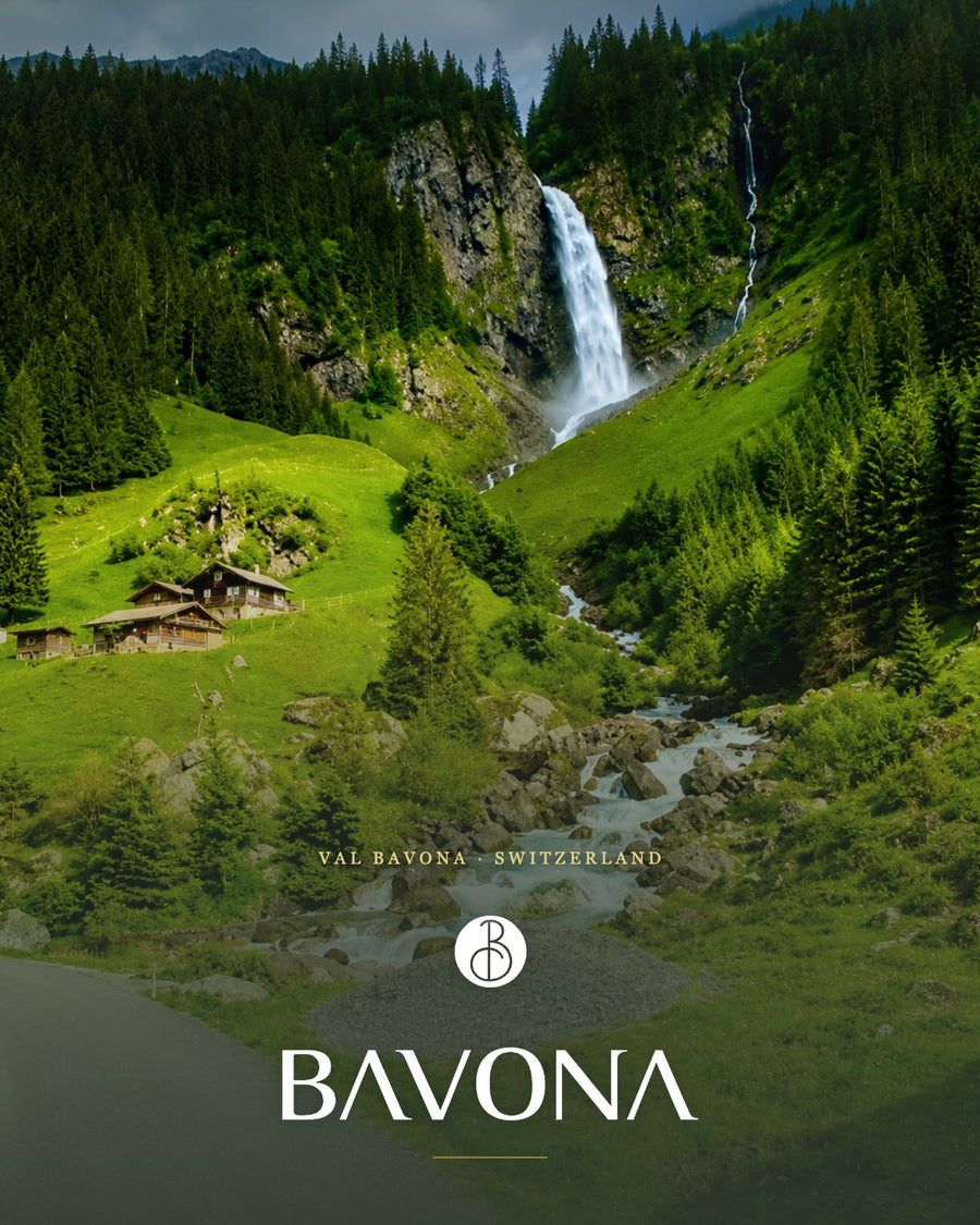 The House of Bavona